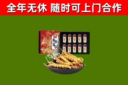 宣汉县回收冬虫夏草价格